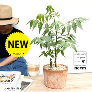 ~Nj[i̖؁j F X|bg V_[^ 픫 yVRӐ΁z uE Ղ̖ j[ A j[IC xh ChZ_ AUWN` AAU