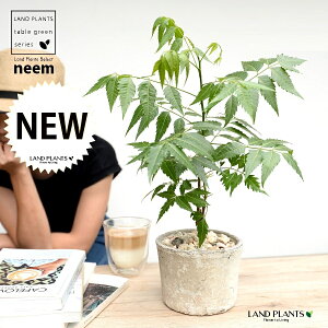 ~Nj[i̖؁j F X|bg V_[^ 픫 yVRӐ΁z zCg Ղ̖ j[ A j[IC xh ChZ_ AUWN` AAU