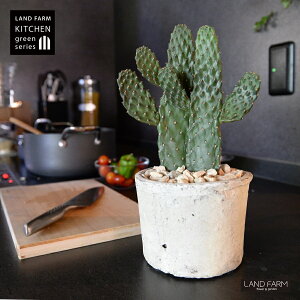 T{e 2F inGXqFX~G{Vj 2F  F X|bg V_[^ 픫 yVRӐ΁z zCg JN^X oUCT{e  A 2{ A  f eRb