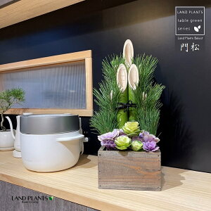 _叼i|Fǂ܂j ^ ؐAؔ uE 1 KADOMATSU