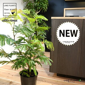 Go[tbV c 7 vX`bN |bgc 1 H90cmx everfresh