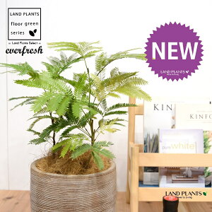 Go[tbViFV[gj fUC̗ǂ eRb^ 1 yRRt@Co[EMzH45cmx everfresh 3