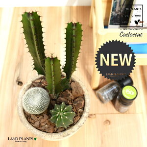 T{e A i_tF_CEJNj GbO^ Eh 픫 STCY 1 yo[N`bvz iWFZbREj×ihZъہFV^Q}j [tHrA [zrA Eup