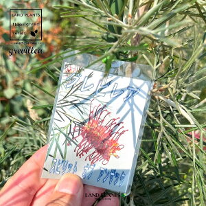 OrAiXsbgEIuEAUbNj 10 vX`bN 1 XsbgIuAUbN nSmL OBA Grevillea 'Spirit of Anzac'