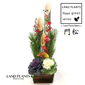 叼iǂ܂F3{dāj65cm 6 ؔ 1 KADOMATSU