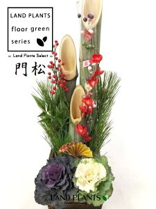 叼iǂ܂F3{dāj65cm 6 ؔ 4 KADOMATSU