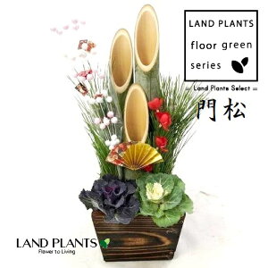 叼iǂ܂F3{dāj45cm 5 ؔ 1 KADOMATSU