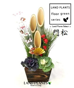 yP[X̔F6z 叼iǂ܂F3{dāj45cm 5 ؔ 6 KADOMATSU