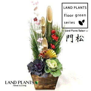 yP[X̔F8z 叼iǂ܂F3{dāj40cm 4 ؔ 8 KADOMATSU