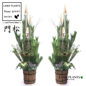 yP[X̔F2z 叼iǂ܂F3{dāj180cm 12 vX`bN 2 y ͂܂zKADOMATSU