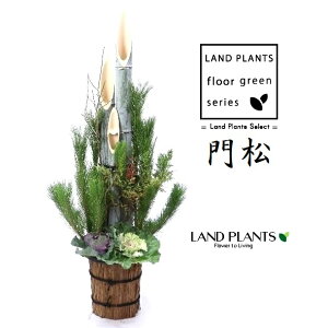 叼iǂ܂F3{dāj160cm 10 vX`bN 1 y ͂܂zKADOMATSU