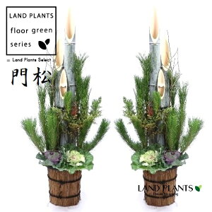 yP[X̔F2z 叼iǂ܂F3{dāj160cm 10 vX`bN 2 y ͂܂zKADOMATSU