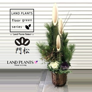 yP[X̔F2z 叼iǂ܂F3{dāj170cm 12 犪 vX`bN 2 KADOMATSU