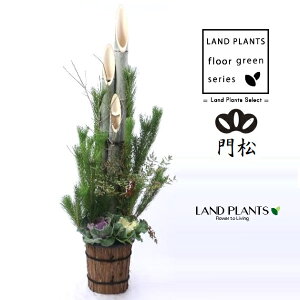 叼iǂ܂F3{dāj180cm 12 vX`bN 1 y ͂܂zKADOMATSU