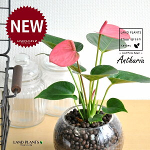 yk͔|z AXEisNFFj KX {[^ Ԋ 1 iA΁jnChR[ A ynChEĕz AX[ IIxjE` xjE` KX Ԋ 