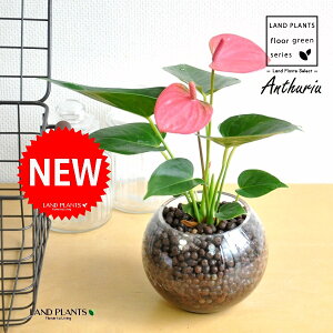 yk͔|z AXEisNFFj KX {[^ Ԋ 1 iA΁jnChR[ A ynChEĕz AX[ IIxjE` xjE` KX Ԋ 