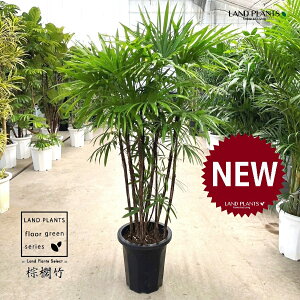 yÓT|Az V`NFL|i{j 10 vX`bN 1 yRRt@Co[EMz | Ϟ| JVE`N sX Jm| | V| ω| Rhapis h