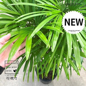 yÓT|Az V`NFL|i{j 10 vX`bN 1 yRRt@Co[EMz | Ϟ| JVE`N sX Jm| | V| ω| Rhapis h