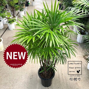 yÓT|Az V`NFL|i{j 10 vX`bN 1 yRRt@Co[EMz | Ϟ| JVE`N sX Jm| | V| ω| Rhapis h