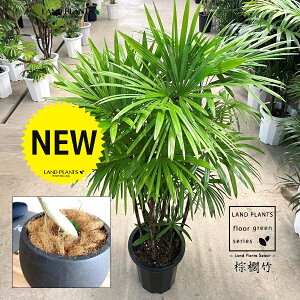 yÓT|Az V`NFL|i{j 10 F ۂĂ X^CbV Aؔ yRRt@Co[EMz | Ϟ| JVE`N sX Jm| | V