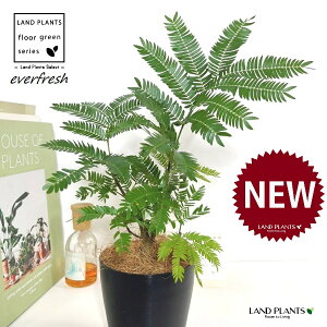 Go[tbViR`j 4 F vX`bN 1 yRRt@Co[z lmL everfresh