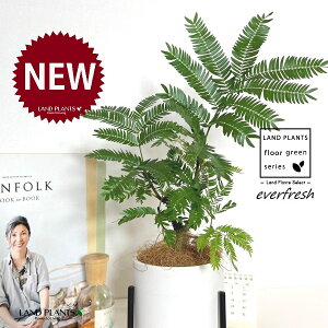 Go[tbViR`j ACAX^ht  픫 F STCY 1 yACAX^hERRt@Co[z lmL everfresh