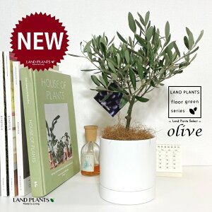 I[uigsA[j M̎ V_[^ F 픫 1 yMERRt@Co[z I[u̖ I[u̎ ŗeւ̃v[g ̋LOi eMtg e