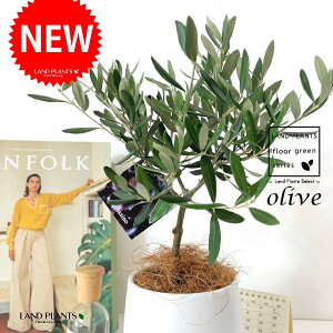 I[uigsA[j hbv^ Eh 픫 1 yMERRt@Co[z I[u̖ I[u̎ ŗeւ̃v[g ̋LOi eMtg ei OLI