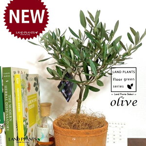 I[uigsA[j F X|bg V_[^ 픫 1 yRRt@Co[z I[u̖ I[u̎ ŗeւ̃v[g ̋LOi eMtg ei