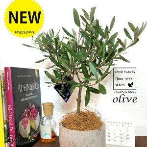 I[uigsA[j Zg V_[^ 픫 1 yMERRt@Co[z I[u̖ I[u̎ ŗeւ̃v[g ̋LOi eMtg e