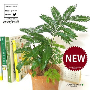 Go[tbViR`j F X|bg V_[^ 픫 1 yRRt@Co[z lmL everfresh