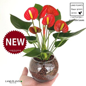 yk͔|zAXEibhFԐFj {[^ KXe 1 ynCh{[AEĕz AX[ IIxjE` xjE` nChJ`[ ͔|nChR[