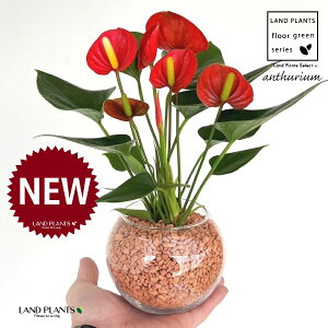 yk͔|zAXEibhFԐFj {[^ KXe 1 yZ~XAEĕz AX[ IIxjE` xjE` nChJ`[ ͔|Z~XOj[