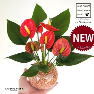 yk͔|zAXEibhFԐFj {[^ KXe 1 yZ~XAEĕz AX[ IIxjE` xjE` nChJ`[ ͔|Z~XOj[