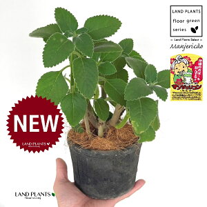 }WFRi{hj F X|bg V_[^ 픫 1 yRRt@Co[z }WFR{h tH[XR[ vNgTX oo[cX {gW n[u n[