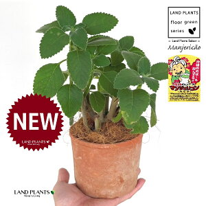 }WFRi{hj F X|bg V_[^ 픫 1 yRRt@Co[z }WFR{h tH[XR[ vNgTX oo[cX {gW n[u n[