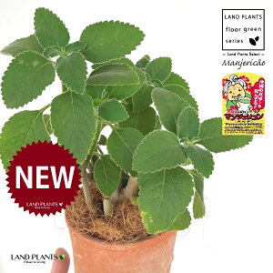 }WFRi{hj F X|bg V_[^ 픫 1 yRRt@Co[z }WFR{h tH[XR[ vNgTX oo[cX {gW n[u n[