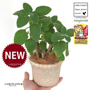 }WFRi{hj F X|bg V_[^ 픫 1 yRRt@Co[z }WFR{h tH[XR[ vNgTX oo[cX {gW n[u n[