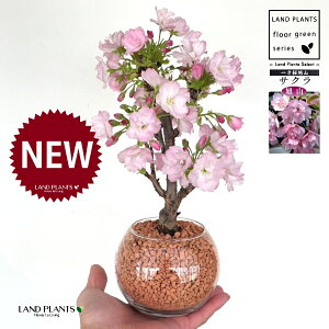 iRFATq}j {[^ KXe 1 yZ~XAEĕz R ATq} ATq}  TN `F[ubT N ˍ ̕c nChJ`[ 