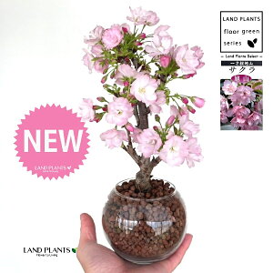 iRFATq}j {[^ KXe 1 ynCh{[AEĕz R ATq} ATq}  TN `F[ubT ˍ ̕c nChJ`