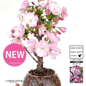 iRFATq}j {[^ KXe 1 ynCh{[AEĕz R ATq} ATq}  TN `F[ubT ˍ ̕c nChJ`