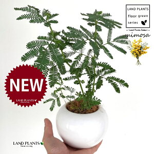 AJVAi~Uj F ی^ 픫 1 yMERRt@Co[z tTAJVAi[j bgW niAJVA MEAJVA tAJVA ~UAJVA ~U̓ Acaci