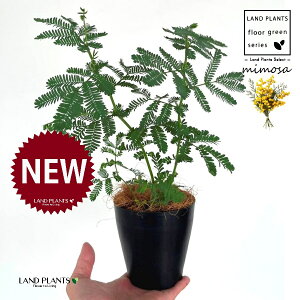 AJVAi~Uj 4 F vX`bN 1 yRRt@Co[z tTAJVAi[j bgW niAJVA MEAJVA tAJVA ~UAJVA ~U̓ Acac