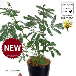 AJVAi~Uj 4 F vX`bN 1 yRRt@Co[z tTAJVAi[j bgW niAJVA MEAJVA tAJVA ~UAJVA ~U̓ Acac