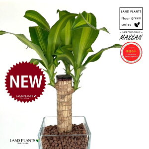 hZii}bTFK̖؁j L[u^ KXe 1 ynCh{[AEĕz REtNmL K̎ }bTQAi }bTMAi nChJ`[ ͔|nCh