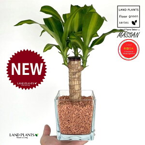 hZii}bTFK̖؁j L[u^ KXe 1 yZ~XAEĕz REtNmL K̎ }bTQAi }bTMAi nChJ`[ ͔|Z~XOj