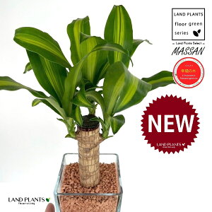 hZii}bTFK̖؁j L[u^ KXe 1 yZ~XAEĕz REtNmL K̎ }bTQAi }bTMAi nChJ`[ ͔|Z~XOj