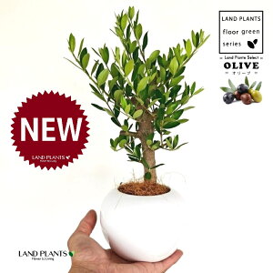 yȖځz I[uiÖؕFj F ی^ 픫 1 yMERRt@Co[z I[u̖ I[u̎ ŗeւ̃v[g ̋LOi eMtg e