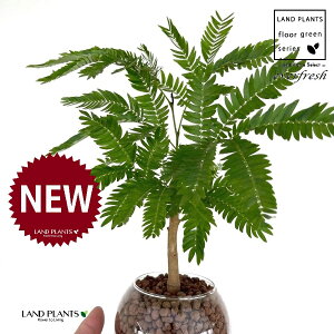 Go[tbViR`j {[^ KXe 1 ynCh{[AEĕz lmL nChJ`[ ͔|nChR[ A Ԋ ԕr everfresh hydroculture