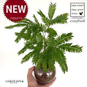 Go[tbViR`j {[^ KXe 1 ynCh{[AEĕz lmL nChJ`[ ͔|nChR[ A Ԋ ԕr everfresh hydroculture